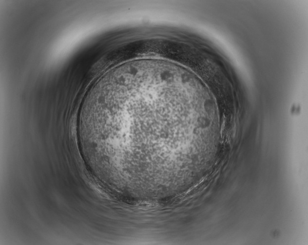 X0000100230099200806131345