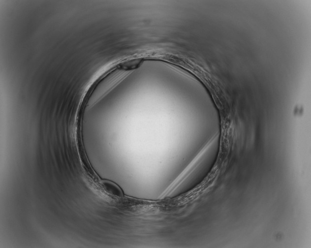 X0000100230100200806131345