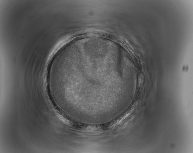 X0000100230101200806131345