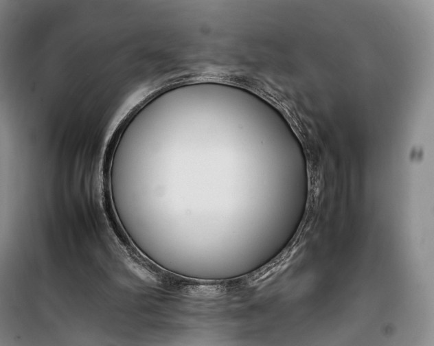 X0000100230102200806131345