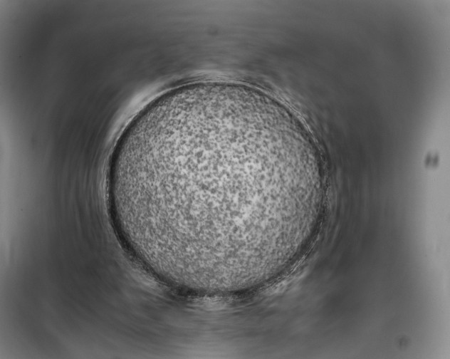 X0000100230103200806131345