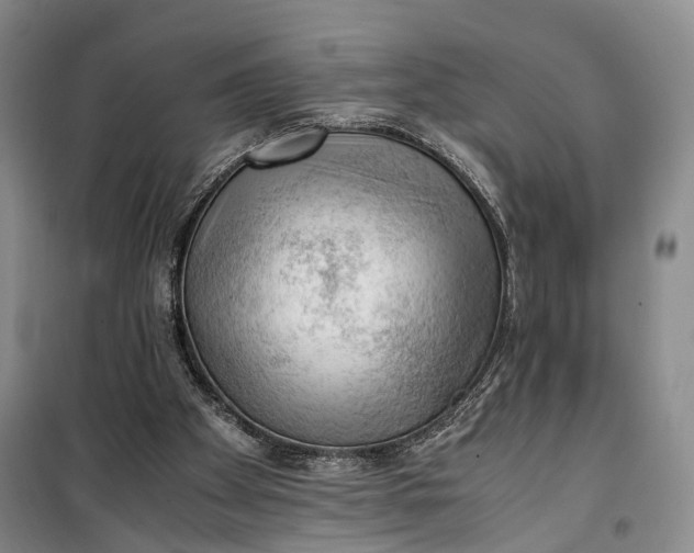 X0000100230105200806131345