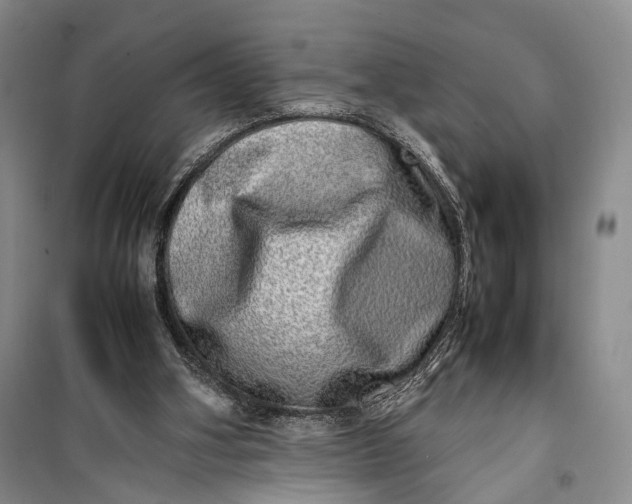 X0000100230106200806131345