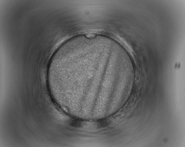 X0000100230107200806131345