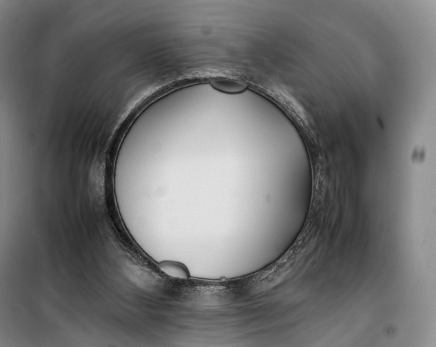 X0000100230108200806131345