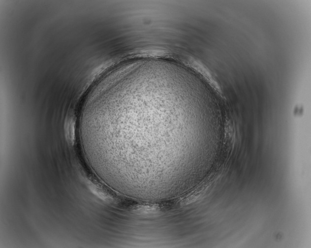 X0000100230110200806131345