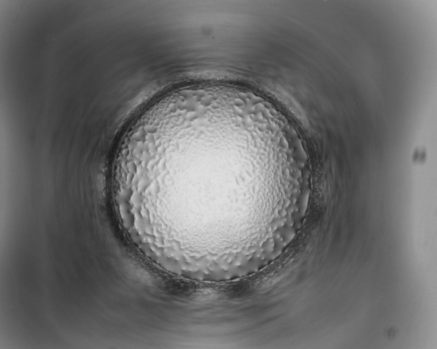 X0000100230111200806131345