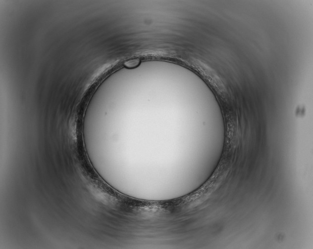 X0000100230112200806131345