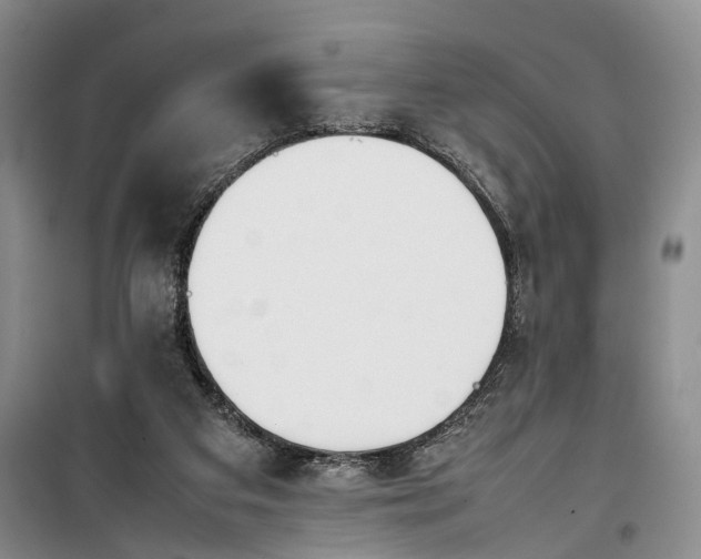 X0000100230113200806131345