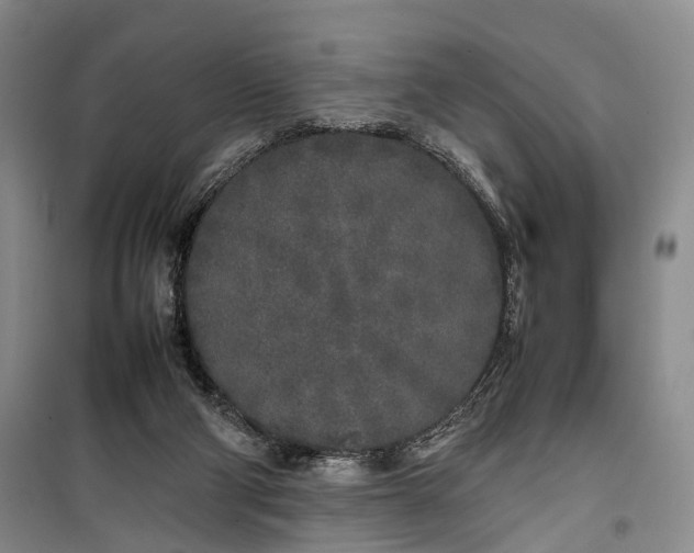 X0000100230114200806131345