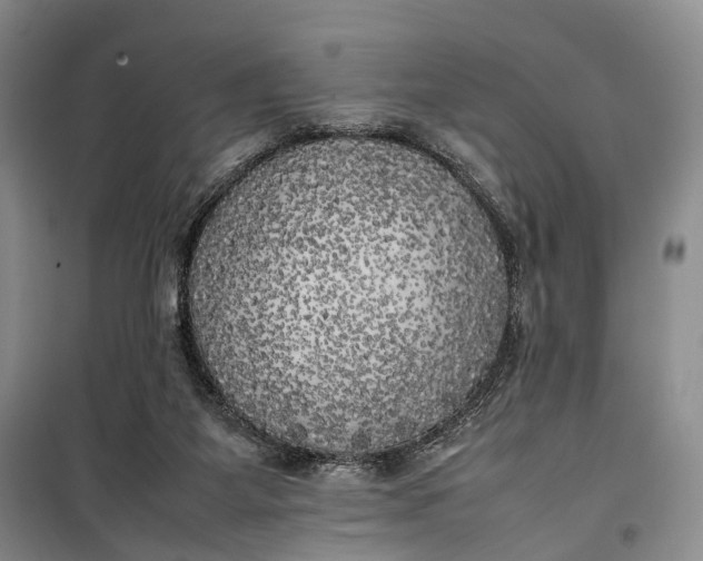 X0000100230115200806131345