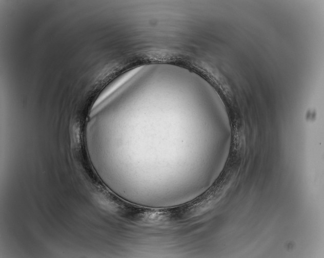 X0000100230117200806131345