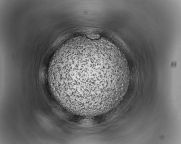 X0000100230119200806131345