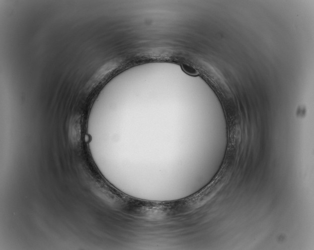 X0000100230120200806131344