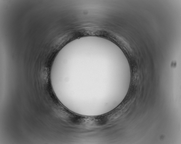 X0000100230121200806131344