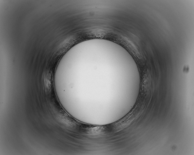 X0000100230122200806131344