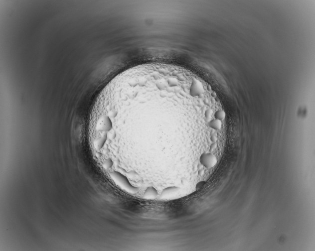 X0000100230123200806131344