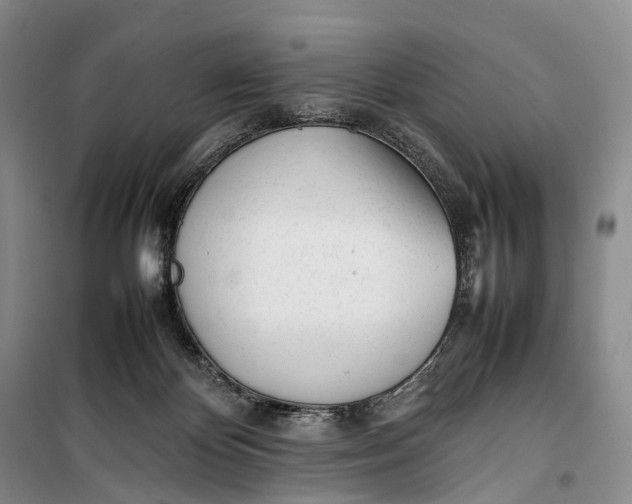 X0000100230124200806131344