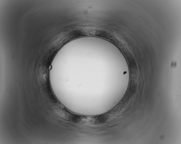 X0000100230125200806131344