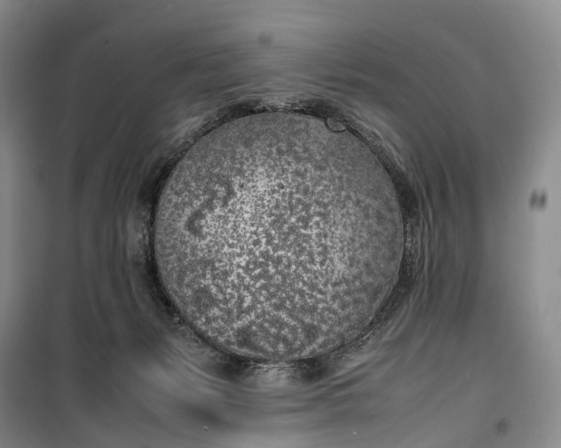 X0000100230127200806131344