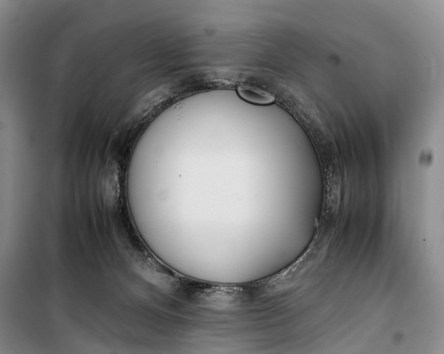 X0000100230128200806131344