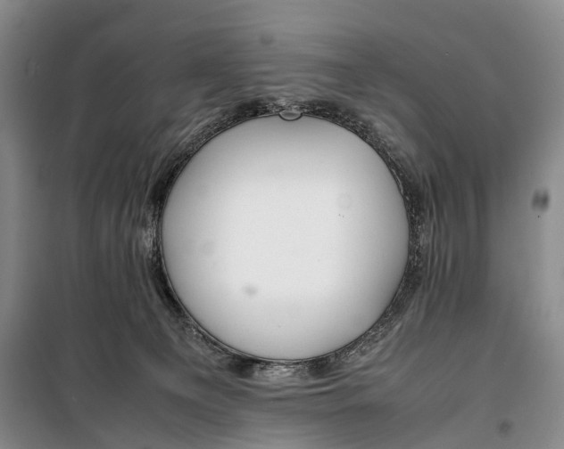 X0000100230129200806131344