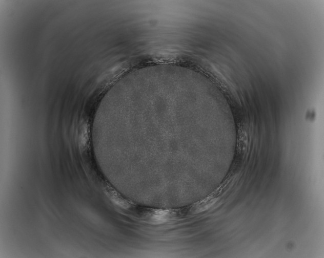 X0000100230130200806131344