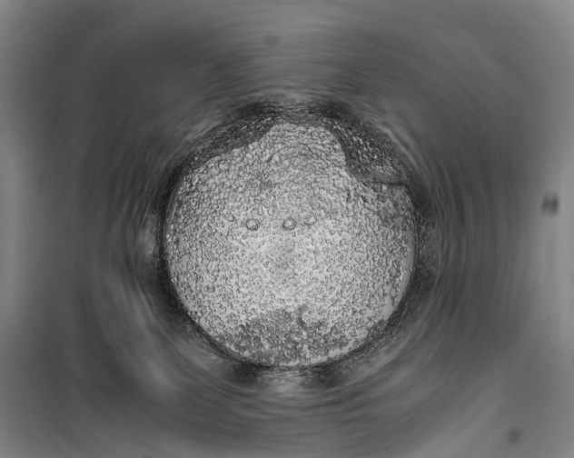 X0000100230131200806131344