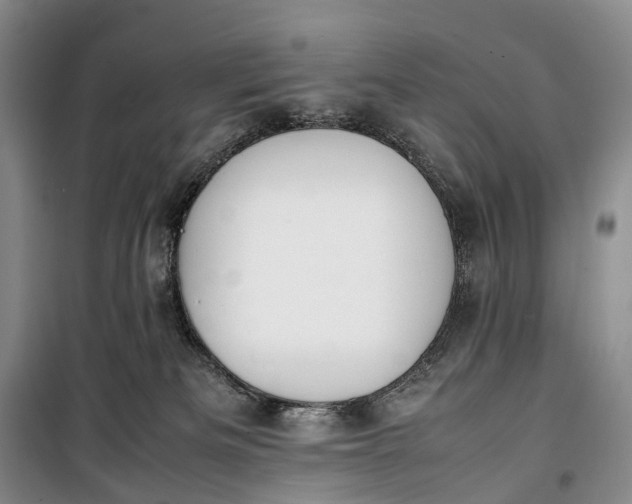 X0000100230133200806131344