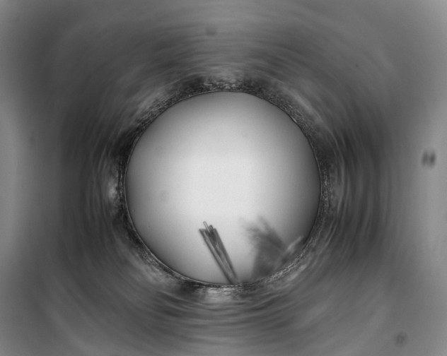 X0000100230134200806131344