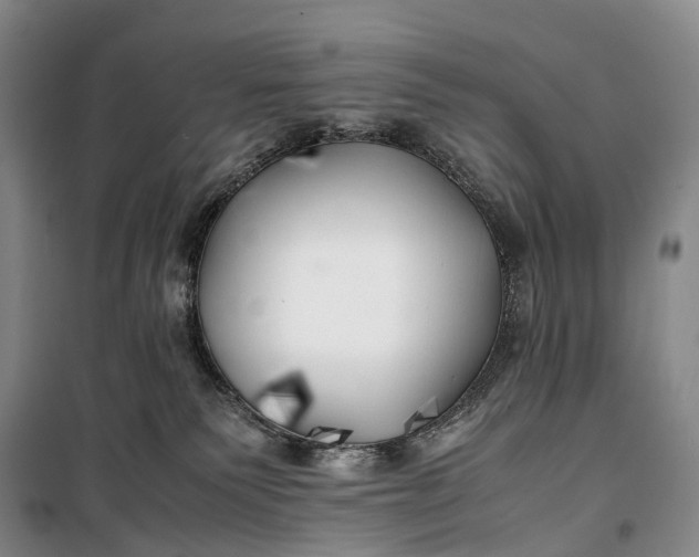 X0000100230135200806131344