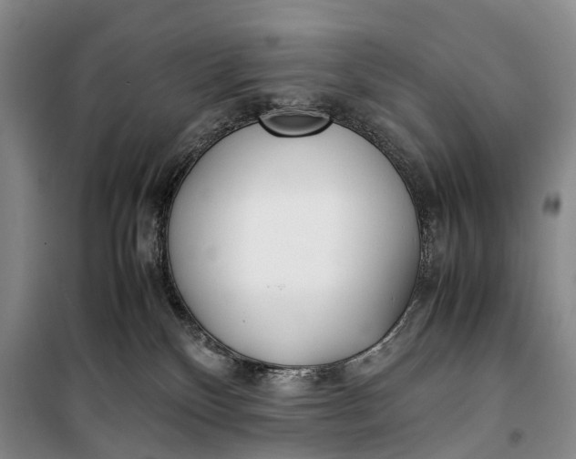 X0000100230136200806131344