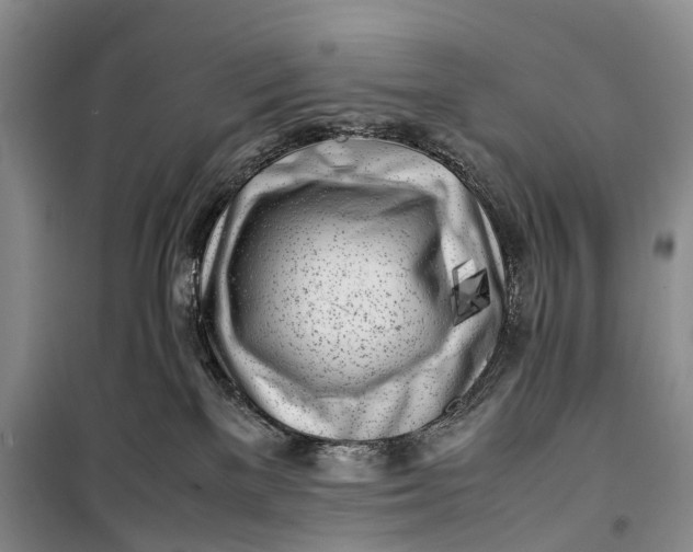 X0000100230137200806131344