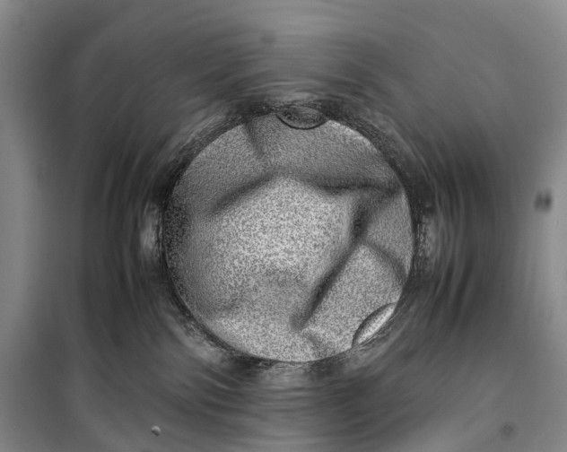 X0000100230138200806131344