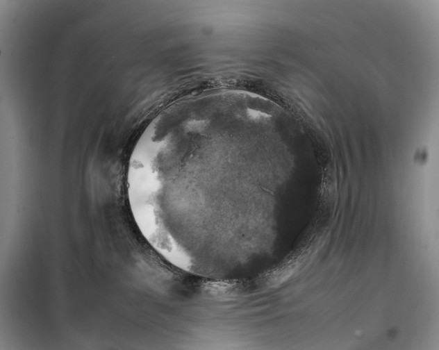 X0000100230139200806131344