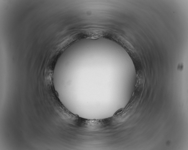 X0000100230141200806131344