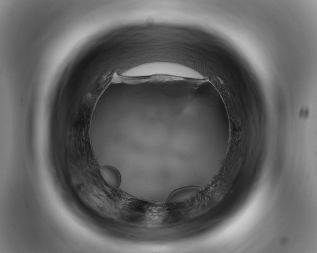 X0000100230143200806131344