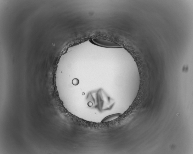 X0000100230144200806131344