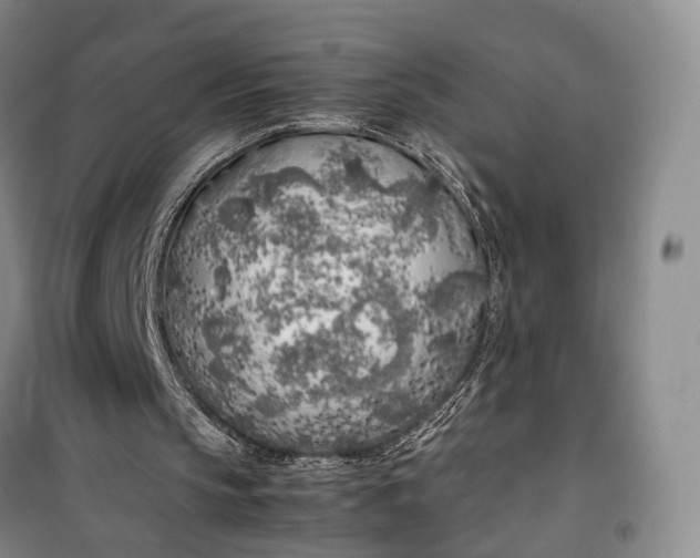 X0000100230145200806131343