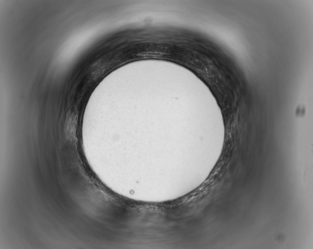 X0000100230146200806131344