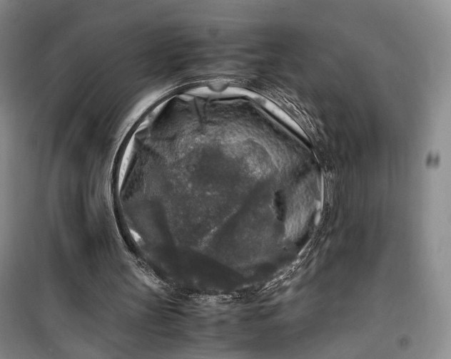 X0000100230147200806131344