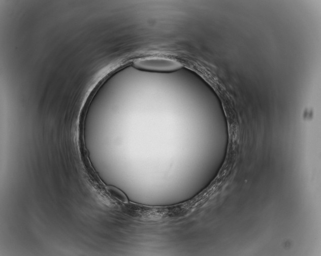 X0000100230148200806131344