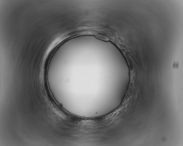 X0000100230150200806131344