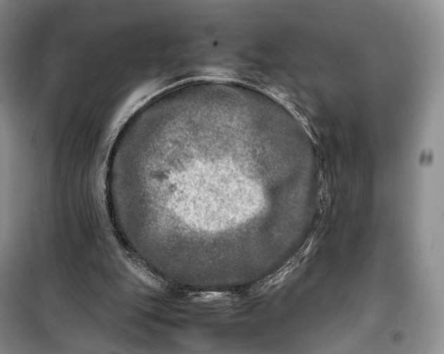 X0000100230151200806131344