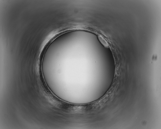 X0000100230152200806131344