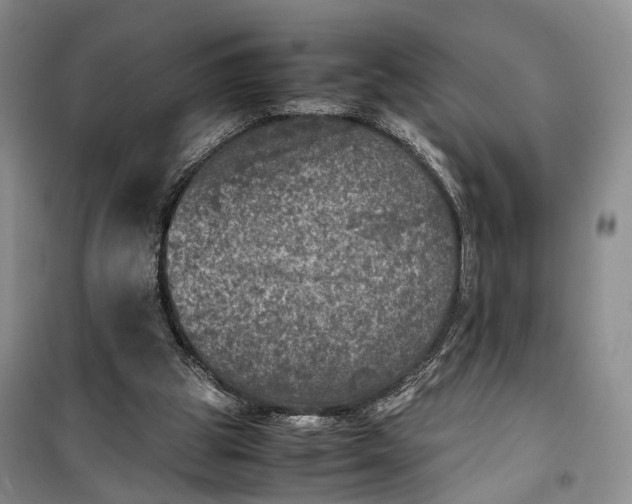 X0000100230153200806131344