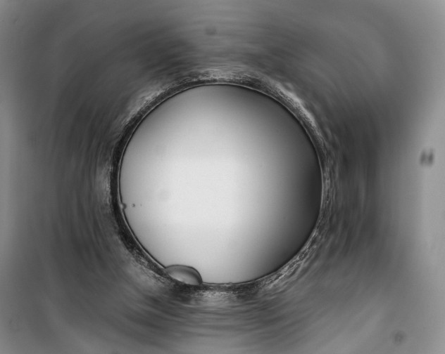 X0000100230154200806131344