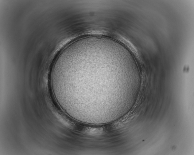 X0000100230155200806131344