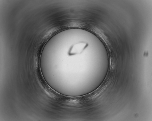 X0000100230157200806131344