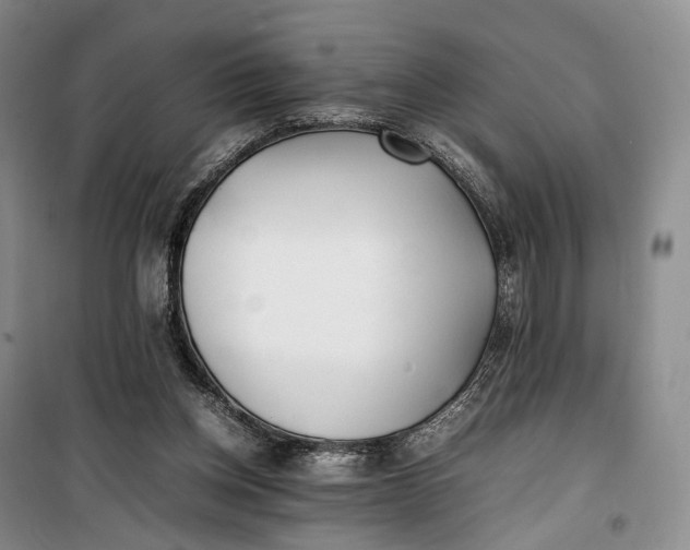 X0000100230158200806131344